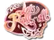 Sticker | Let's Roll-oll