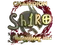 Sticker | sh1ro (Gold, Champion) | Shanghai 2024