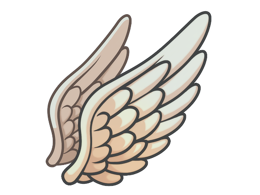 accessory-img