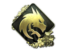 accessory-img