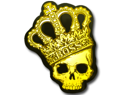 accessory-img