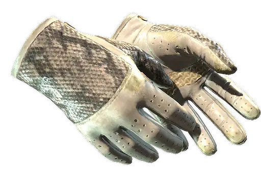★ Driver Gloves | King Snake