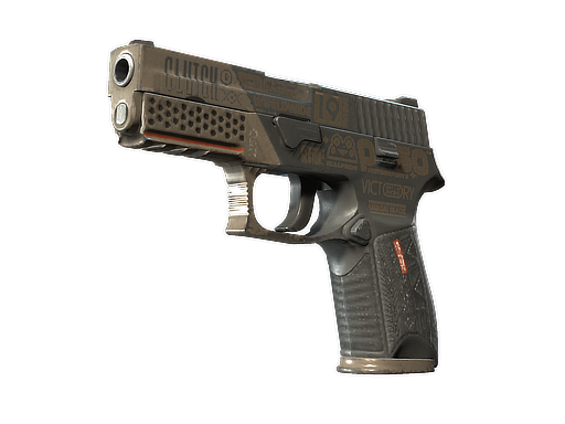 StatTrak™ P250 | Bullfrog