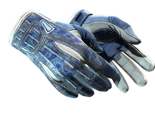 ★ Sport Gloves | Amphibious