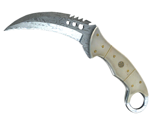 ★ StatTrak™ Talon Knife | Damascus Steel