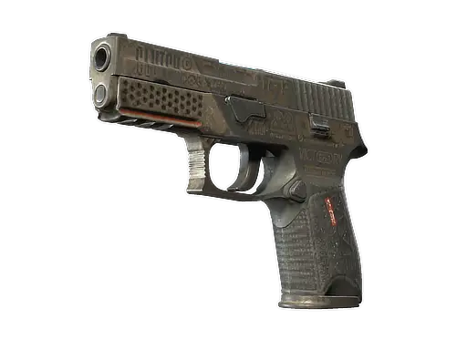 StatTrak™ P250 | Bullfrog