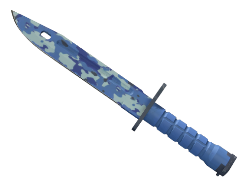 ★ StatTrak™ Bayonet | Bright Water