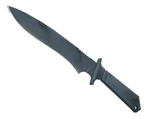 ★ StatTrak™ Classic Knife | Night Stripe