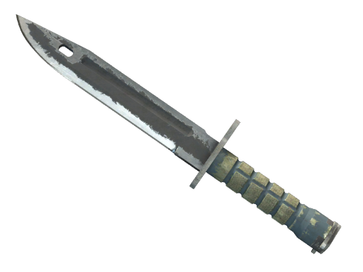 ★ StatTrak™ Bayonet | Night
