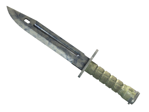 ★ StatTrak™ Bayonet | Stained