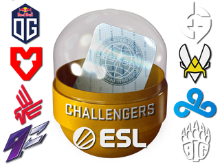Rio 2022 Challengers Sticker Capsule