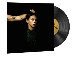 StatTrak™ Music Kit | PVRIS, Evergreen