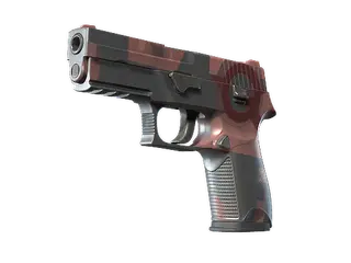 P250 | Constructivist