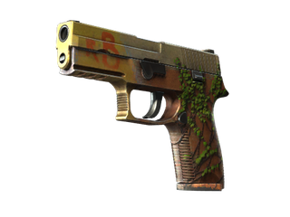 StatTrak™ P250 | Inferno