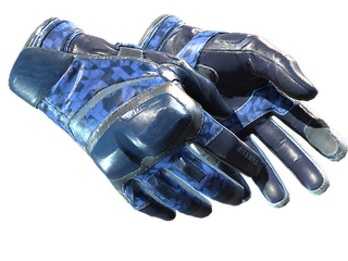 ★ Moto Gloves | Polygon