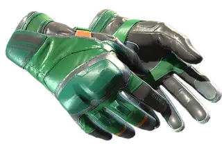 ★ Moto Gloves | Turtle