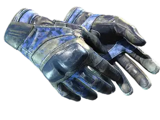 ★ Moto Gloves | Polygon
