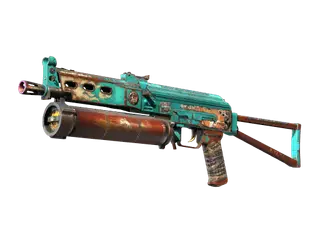 PP-Bizon | Embargo