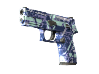 P250 | Digital Architect