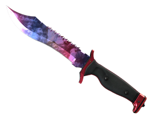 ★ StatTrak™ Bowie Knife | Doppler