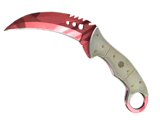 ★ StatTrak™ Talon Knife | Slaughter