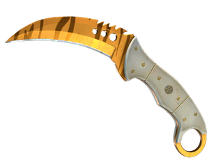 ★ StatTrak™ Talon Knife | Tiger Tooth