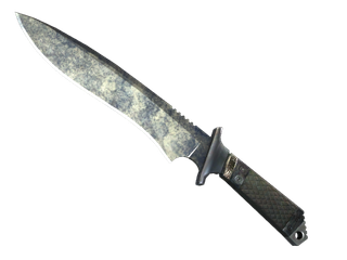 ★ StatTrak™ Classic Knife | Stained