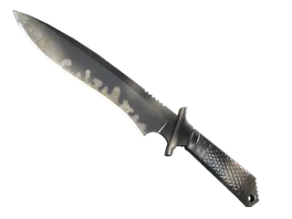 ★ StatTrak™ Classic Knife | Scorched