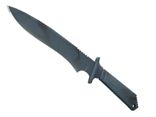 ★ StatTrak™ Classic Knife | Night Stripe