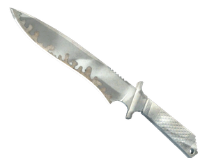 ★ StatTrak™ Classic Knife | Urban Masked