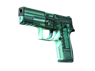 StatTrak™ P250 | X-Ray