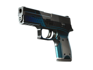 StatTrak™ P250 | Valence