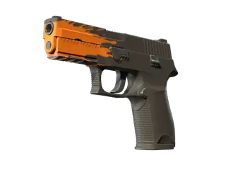 StatTrak™ P250 | Splash
