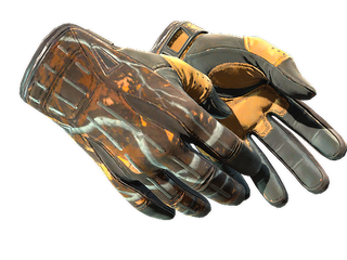 ★ Sport Gloves | Big Game