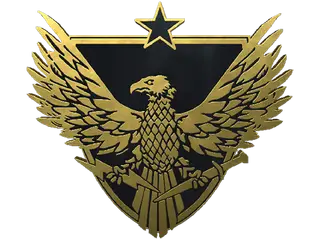 Brigadier General Pin