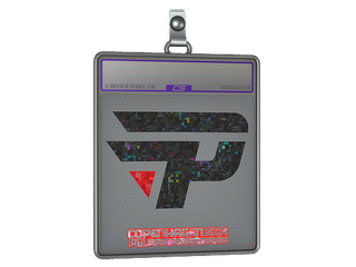 Sticker Slab | paiN Gaming (Glitter) | Copenhagen 2024