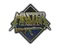 Patch | Metal Master Guardian