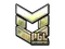 Sticker | PGL (Gold) | Antwerp 2022