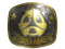 Sticker | M80 (Gold) | Austin 2025