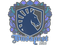 Sticker | Team Liquid | Budapest 2025