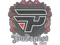 Sticker | paiN Gaming | Budapest 2025