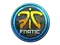 Sticker | Fnatic (Foil) | Cologne 2014