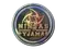 Sticker | Ninjas in Pyjamas (Holo) | Cologne 2014