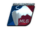 Sticker | MLG (Foil) | MLG Columbus 2016