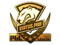Sticker | Virtus.Pro (Gold) | Krakow 2017