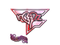 Sticker | ropz (Holo) | Paris 2023