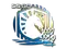 Sticker | Liquid (Foil) | 2020 RMR
