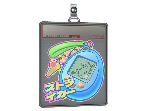 accessory-img