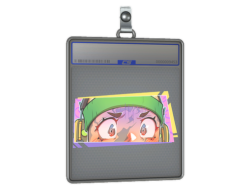 accessory-img