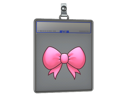 accessory-img